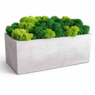 Doniczka betonowa rynna z mchem chrobotkiem