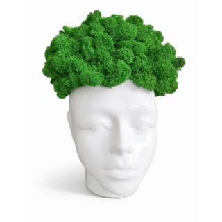 Doniczka głowa AFRO z mchem chrobotkiem