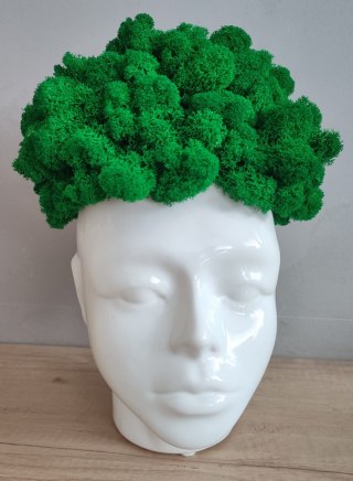Doniczka głowa AFRO z mchem chrobotkiem