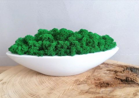 Doniczka łódka z mchem chrobotkiem, 32x12x7