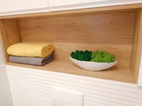 Doniczka łódka z mchem chrobotkiem, 32x12x7