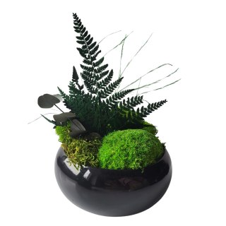 Doniczka z mchem i roślinami stabilizowanymi
