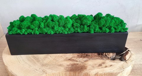 Drewniana doniczka z mchem chrobotkiem