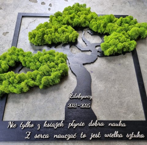 Drzewko Bonsai z chrobotkiem, podziekowania dla nauczyciela