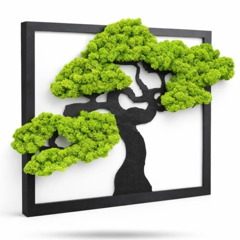 Drzewko bonsai z chrobotkiem 