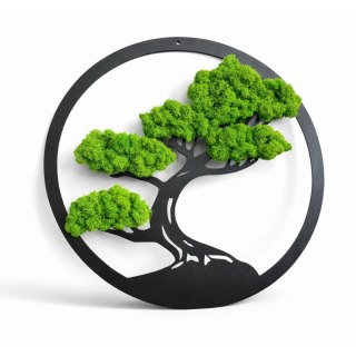 Drzewo Bonsai z mchem chrobotkiem