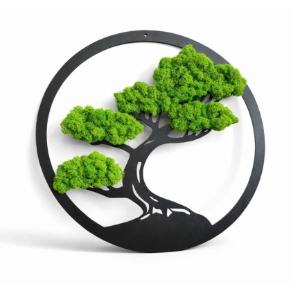 Drzewo Bonsai z mchem chrobotkiem