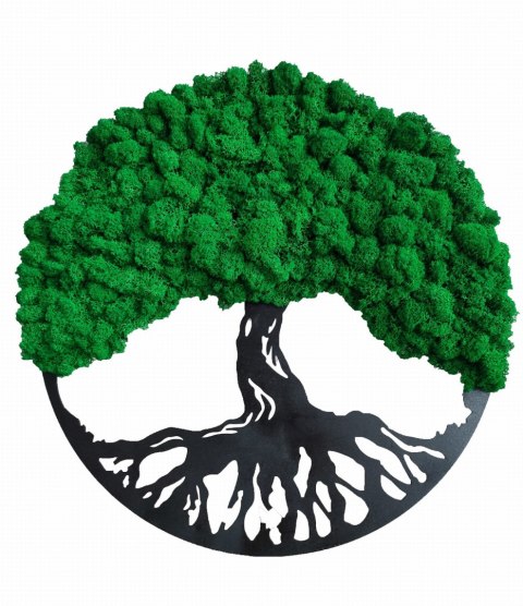 drzewo z chrobotkiem