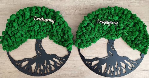 Drzewo życia z mchem chrobotkiem PREMIUM