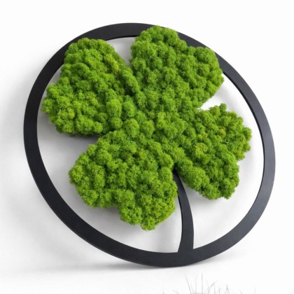 Koniczynka szczęścia z mchu chrobotka premium