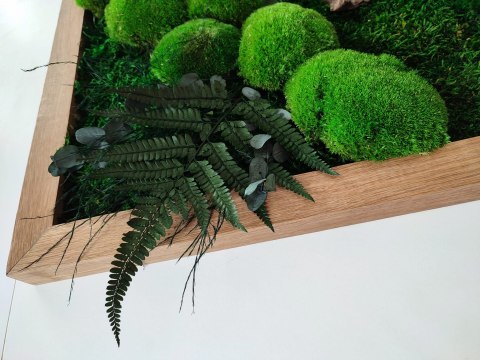 Obraz w dębowej ramie z mchu i roślin stabilizowanych