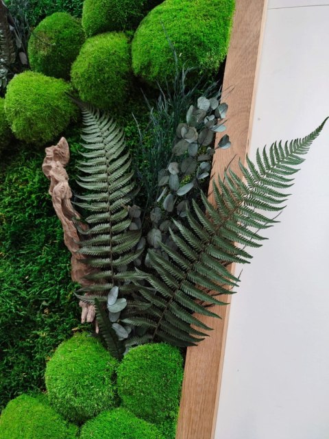 Obraz w dębowej ramie z mchu i roślin stabilizowanych