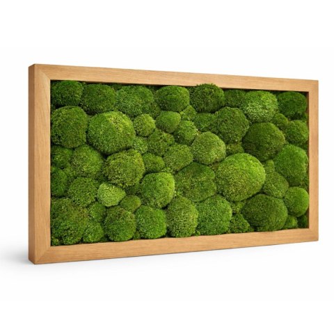 Obraz w dębowej ramie z mchu poduszkowego