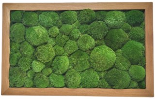 Obraz w dębowej ramie z mchu poduszkowego