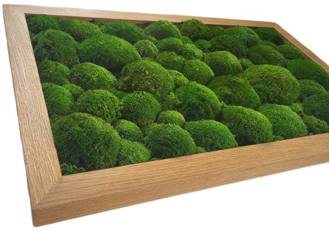 Obraz w dębowej ramie z mchu poduszkowego