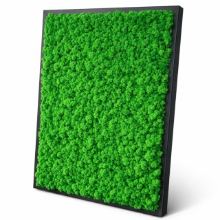 Obraz z chrobotka w drewnianej ramie 120x80cm