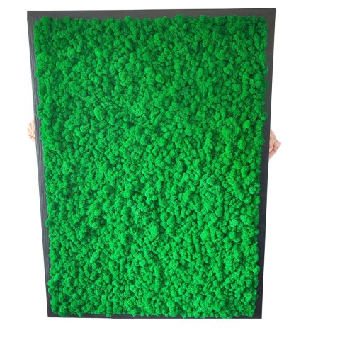 Obraz z chrobotka w drewnianej ramie 120x80cm