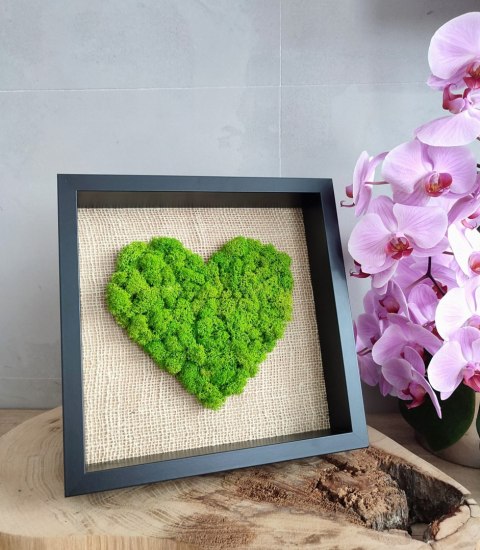Obraz z mchem chrobotkiem, DUŻE SERCE, 25x25cm