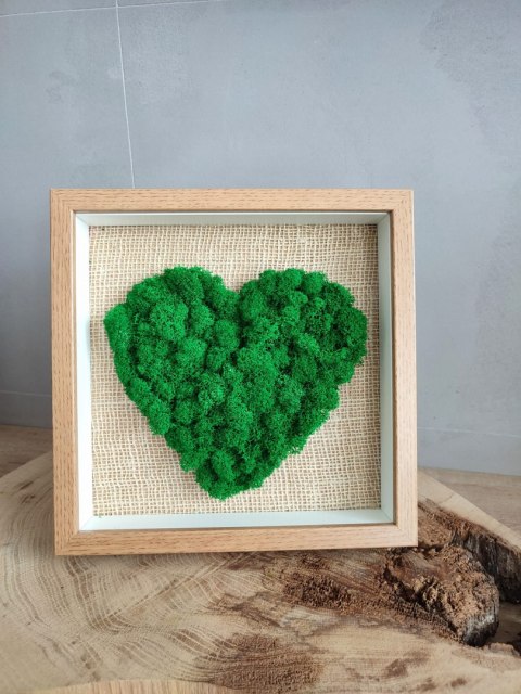 Obraz z mchem chrobotkiem, DUŻE SERCE, 25x25cm