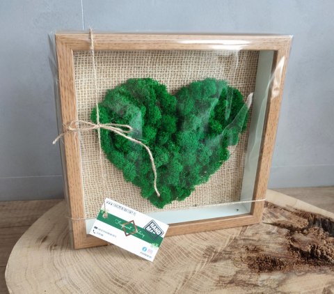 Obraz z mchem chrobotkiem, DUŻE SERCE, 25x25cm