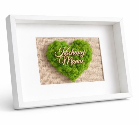 Obraz z mchem chrobotkiem, SERCE, 21x30