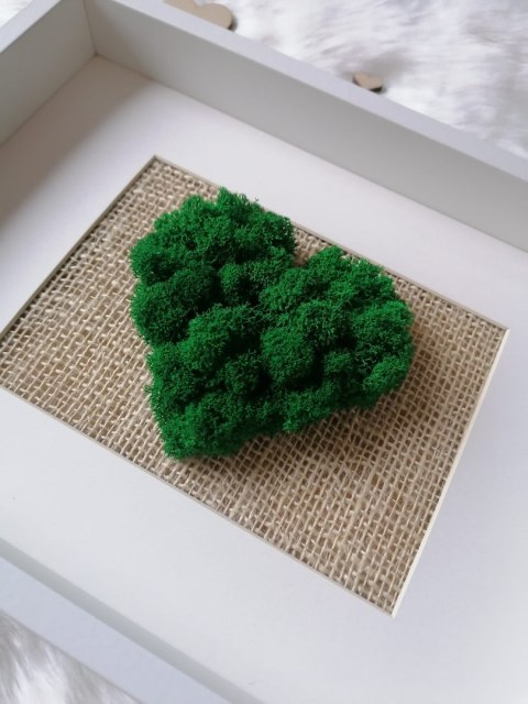 Obraz z mchem chrobotkiem na prezent