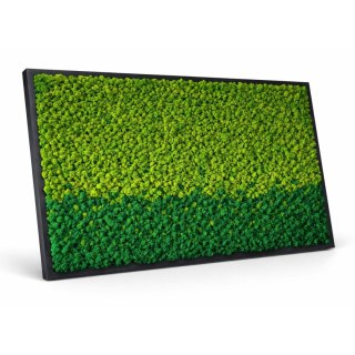 Obraz z mchu chrobotka w drewnianej ramie 120x80cm