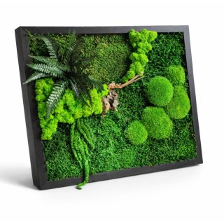 Obraz z mchu i roślin stabilizowanych 42x52 wariant II