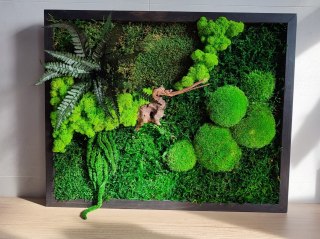 Obraz z mchu i roślin stabilizowanych 42x52 wariant II