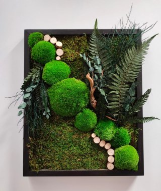 Obraz z mchu i roślin stabilizowanych 42x52