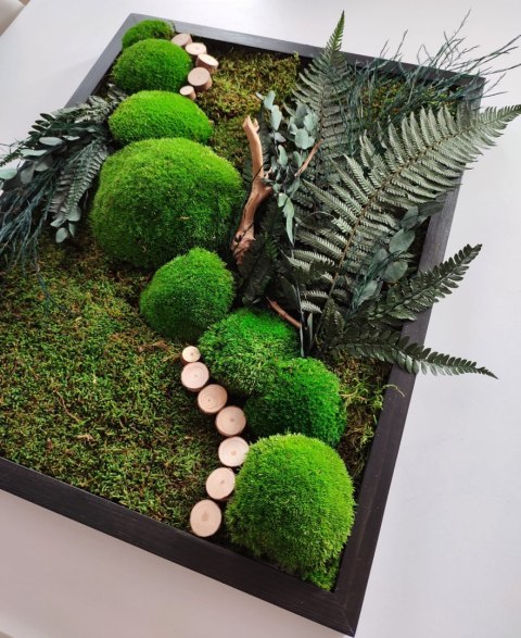 Obraz z mchu i roślin stabilizowanych 42x52