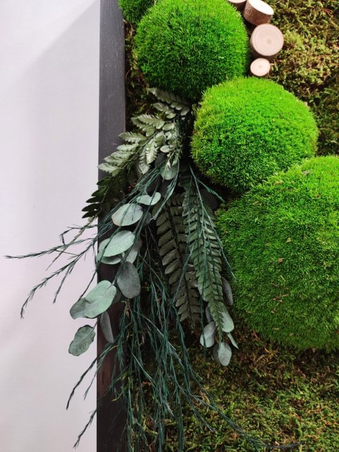 Obraz z mchu i roślin stabilizowanych 42x52