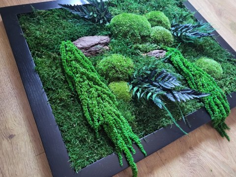 Obraz z mchu i roślin stabilizowanych 42x52cm