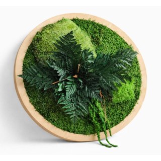 Obraz z mchu i roślin stabilizowanych w kole
