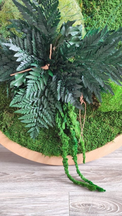 Obraz z mchu i roślin stabilizowanych w kole