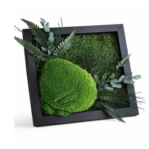 Obraz z mchu i roślin stabilizowanych