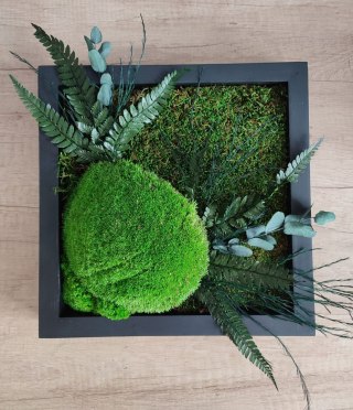 Obraz z mchu i roślin stabilizowanych