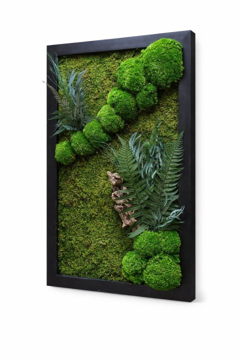 Obraz z mchu i roślin