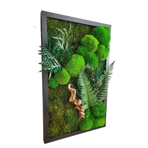 Obraz z mchu i roślin w drewnianej ramie 80x50 cm
