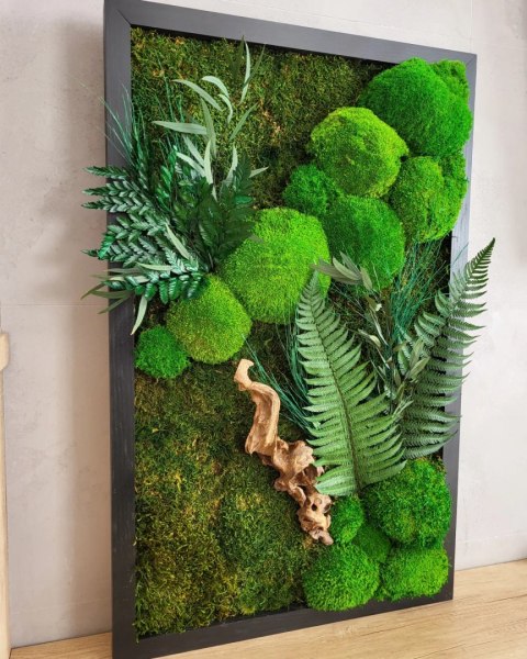 Obraz z mchu i roślin w drewnianej ramie 80x50 cm