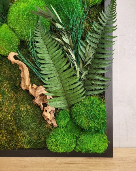 Obraz z mchu i roślin w drewnianej ramie 80x50 cm
