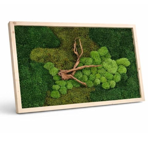 Obraz z mchu płaskiego i poduszkowego z korzeniem, 120x80 cm