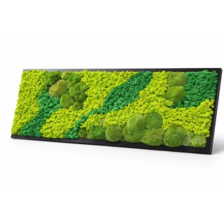 Obraz z mchu poduszkowego I chrobotka, 180x58 cm