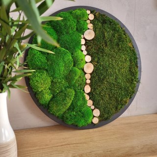 Obraz z mchu poduszkowego i płaskiego z dodatkami, 50 cm