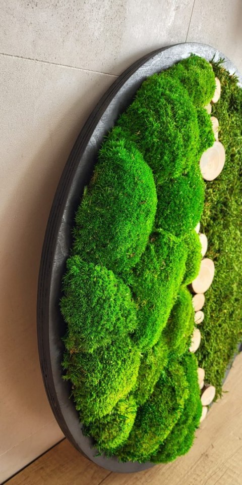 Obraz z mchu poduszkowego i płaskiego z dodatkami, 50 cm