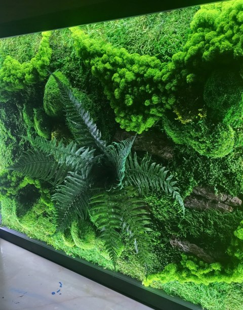 Obraz z mchu z podświetleniem LED