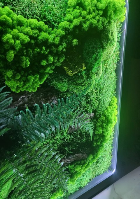 Obraz z mchu z podświetleniem LED