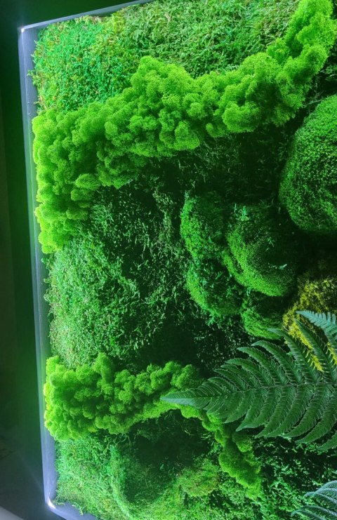 Obraz z mchu z podświetleniem LED