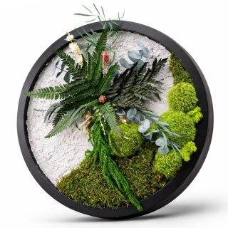 Okrągły obraz z mchu i roślin stabilizowanych z betonem o średnicy 50 cm