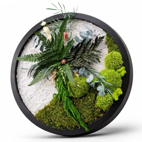 Obraz z mchu i roślin